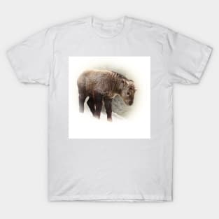 Baby takin T-Shirt